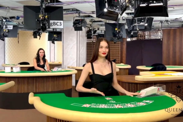 Queen Bee Online Casino Studio in Poland-Cover